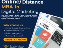 Digital Marketing Mba Online Mastering The Digital Arena