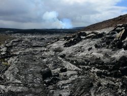 Volcano Garden Arts A Creative Exploration Of Nature
