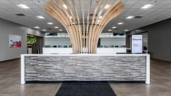 Echopark automotive dallas grand prairie