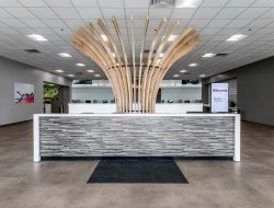 Echopark Automotive Dallas Grand Prairie Overview And Insights