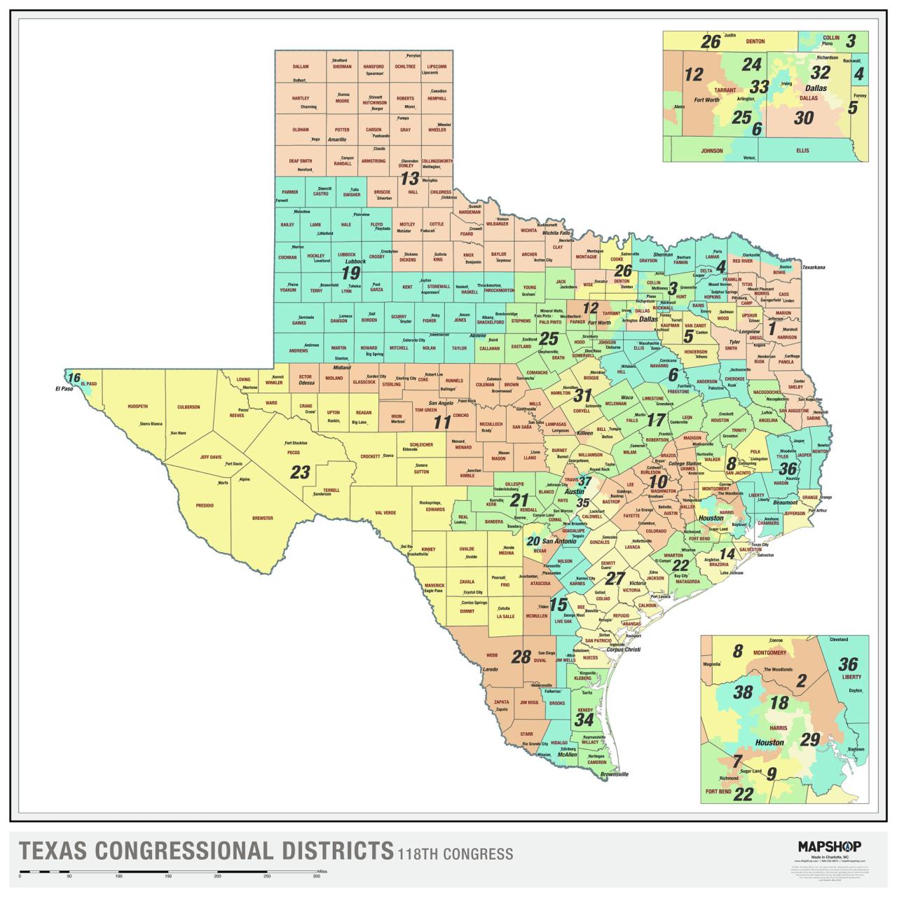 State Of Texas Proposition 11 2025 - Florence D Whitfield