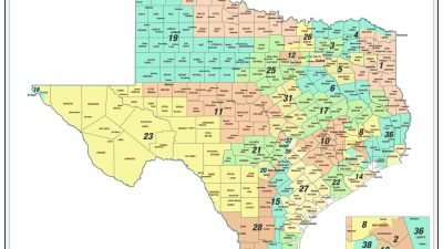 State Of Texas Proposition 11 2025 - Florence D Whitfield