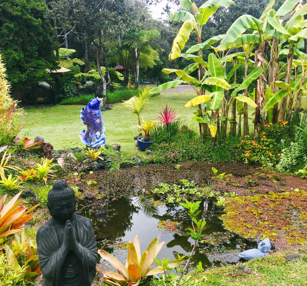 Volcano center island big year hawai voted after best as Volcano center island big year hawai voted after best as