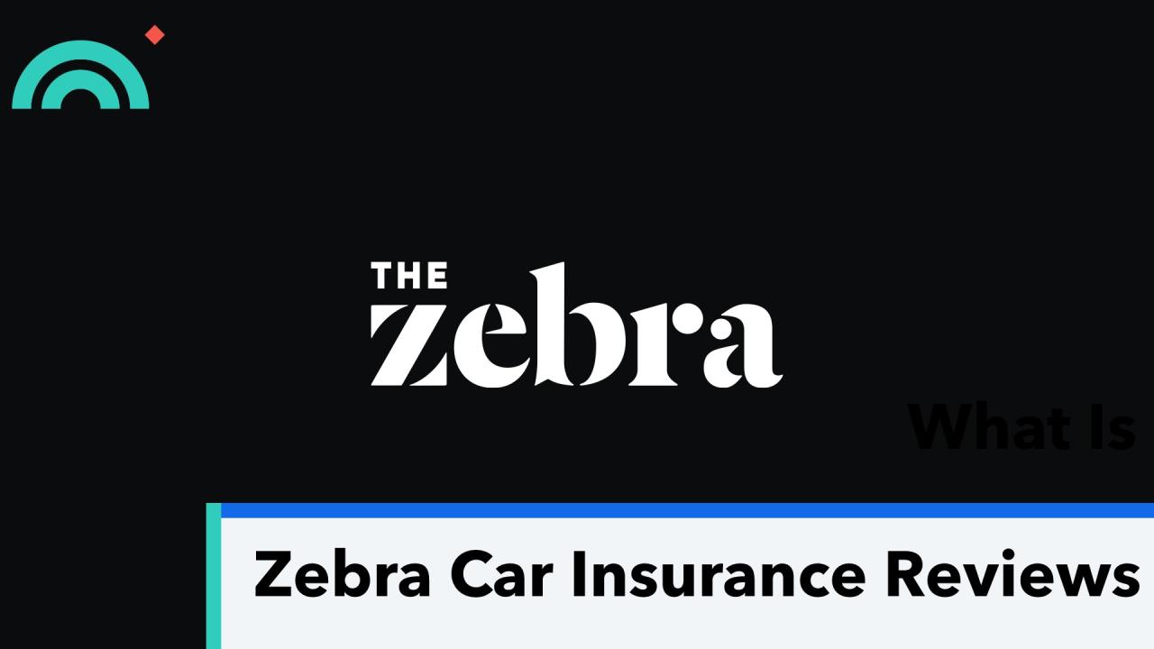 Shop car insurance quotes