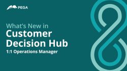 Pega decision hub