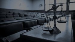 Digital marketing lawyer