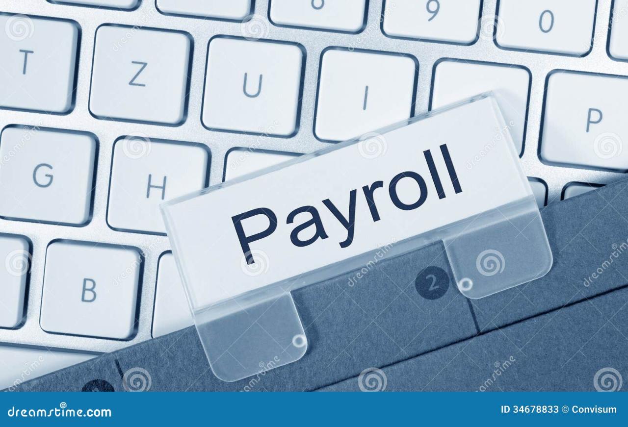 Payroll computer programs