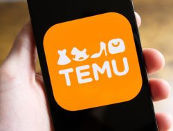 Temu online shopping cara baru berbelanja modern